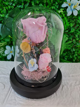 Load image into Gallery viewer, Preseved Flowers Dome