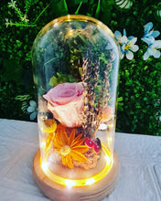 Load image into Gallery viewer, Preseved Flowers Dome