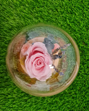 Load image into Gallery viewer, Preseved Flowers Dome at $66 only with any Mother's day Purchase
