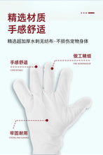 Load image into Gallery viewer, Kojima Pet Cleaning Glove 免洗清洁宠物手套