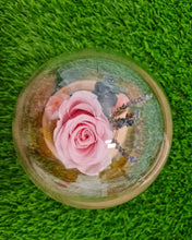 Load image into Gallery viewer, Preseved Flowers Dome
